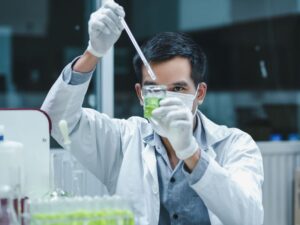 Desenvolvimento de Produtos Cosméticos: Exigências e Etapas